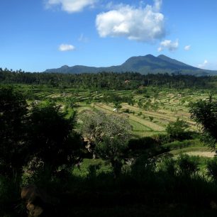 Příroda oblasti Kintamani se sopkou Batur v pozadí, Bali, Indonésie