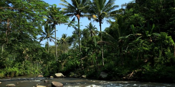 Putování po Bali: Celuk, Ubud, Besakih