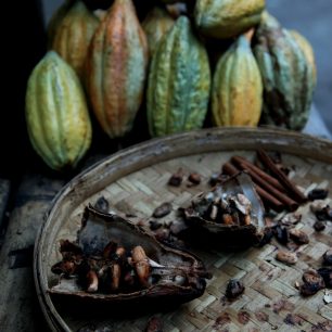 Tak vypadá čokoládový lusk. Ochutnala jsem i zrníčka - no, bylo to tvrtdé. Bali, Indonésie