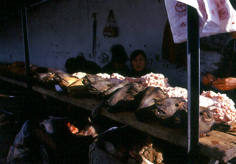 Na trhu seženete třeba ovčí hlavu, Karakol, Kyrgyzstán