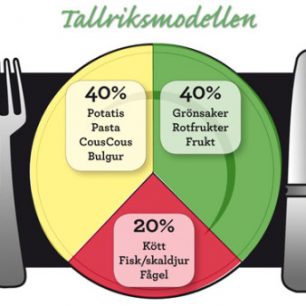 Tallriksmodellen (Model talíře)