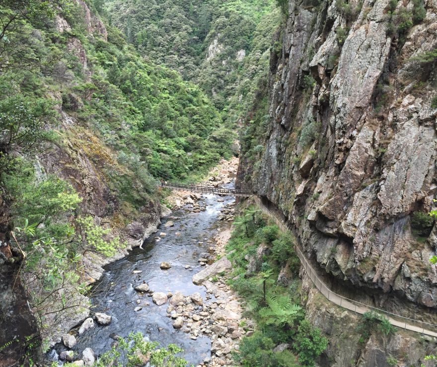Most, Karangahake Gorge, Coromandel, Nový Zéland