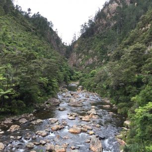 Kaňon řeky, Karangahake Gorge, Coromandel, Nový Zéland