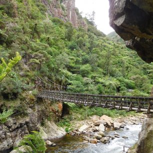 Po tomto mostu se můžete proběhnout, Karangahake Gorge, Coromandel, Nový Zéland