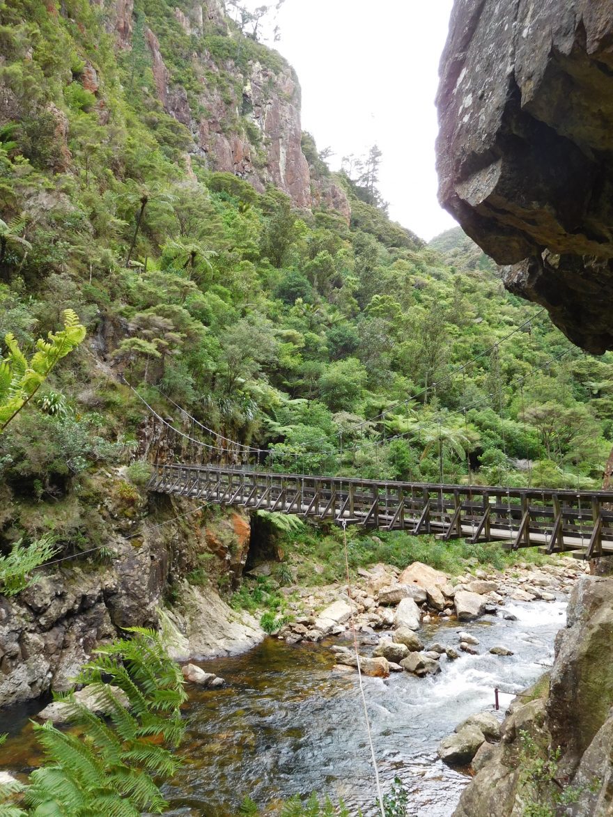 Po tomto mostu se můžete proběhnout, Karangahake Gorge, Coromandel, Nový Zéland