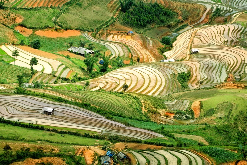 Kaskádovitá rýžová políčka, Sapa, Vietnam, foto: Nikola Štěrbová