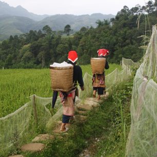 V horách Vietnamu žije mnoho etnických menšin, Sapa, Vietnam