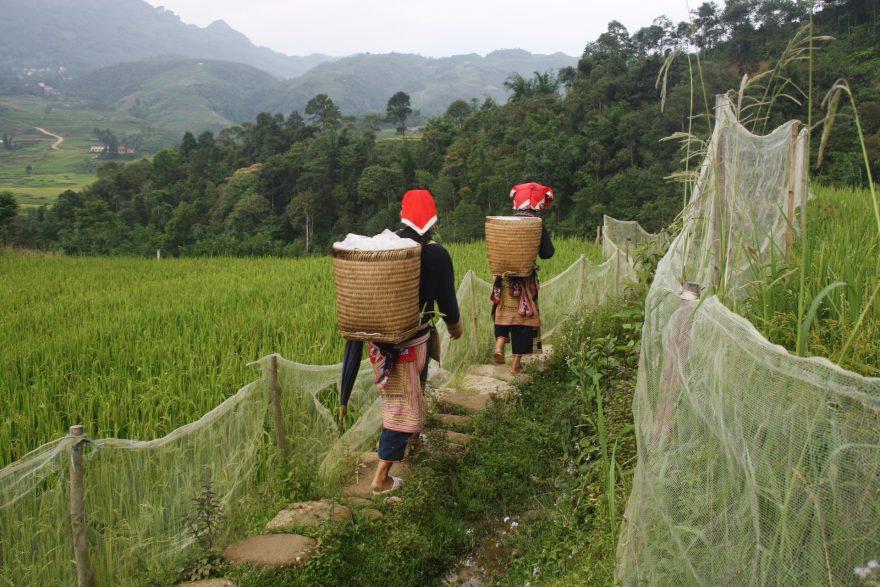 V horách Vietnamu žije mnoho etnických menšin, Sapa, Vietnam