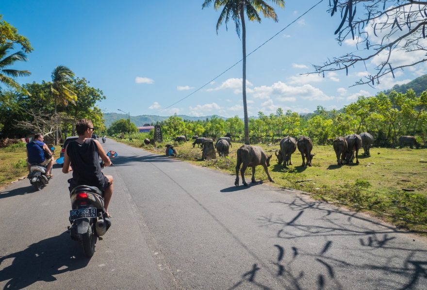 Silnice patří všem, Lombok, Indonésie, foto: Johan Orlitz