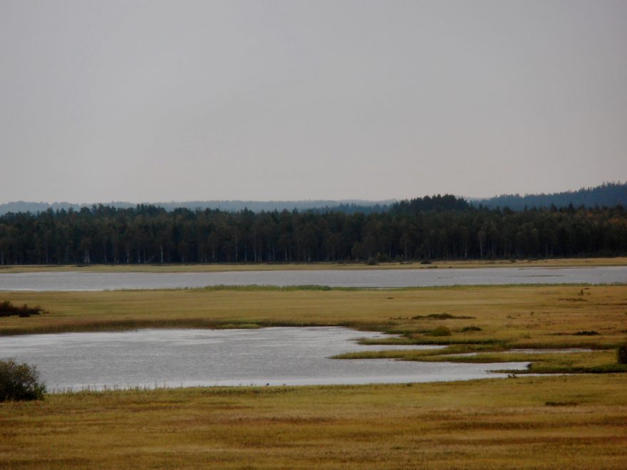Typická švédská příroda, Store Mosse Nationalpark, Švédsko