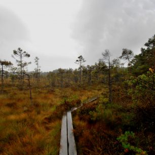 V podmáčené krajině se návštěvníci mohou pohybovat po dřevěných chodníčcích. Store Mosse Nationalpark, Švédsko