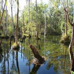 Tropické vnitrozemí, Bathurst, Austrálie