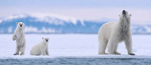 Špicberky - trek z Longyearbyenu do Colesbukty a zase zpět