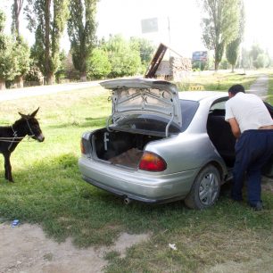 Nakládání oslíka do auta poblíž Karakolu, Kyrgyzstán
