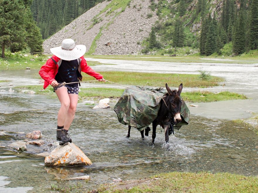 Jeden z mnoha brodů, Kyrgyzstán