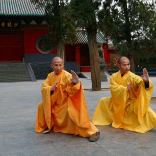 Tradiční čínské umění Shaolin