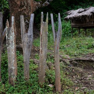 Dřevěné obřadní totemy, Čjinský stát, Myanma