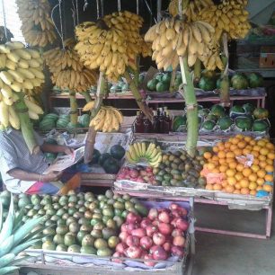 Chuť tropického ovoce se chutí toho z českých obchodů nedá srovnat, Srí Lanka