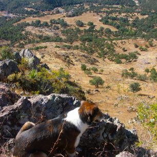 Hlídač, Yepachic, Mexiko