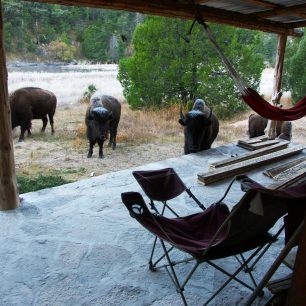 Bizoni byli všude kolem, Yepachic, Mexiko