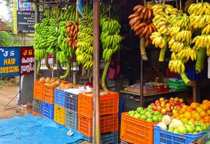 Kuchyně indické Keraly a recepty na 3 místní speciality + VIDEO