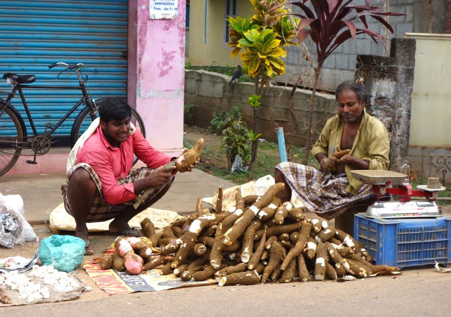 Prodej tapioky, Kerala, Indie