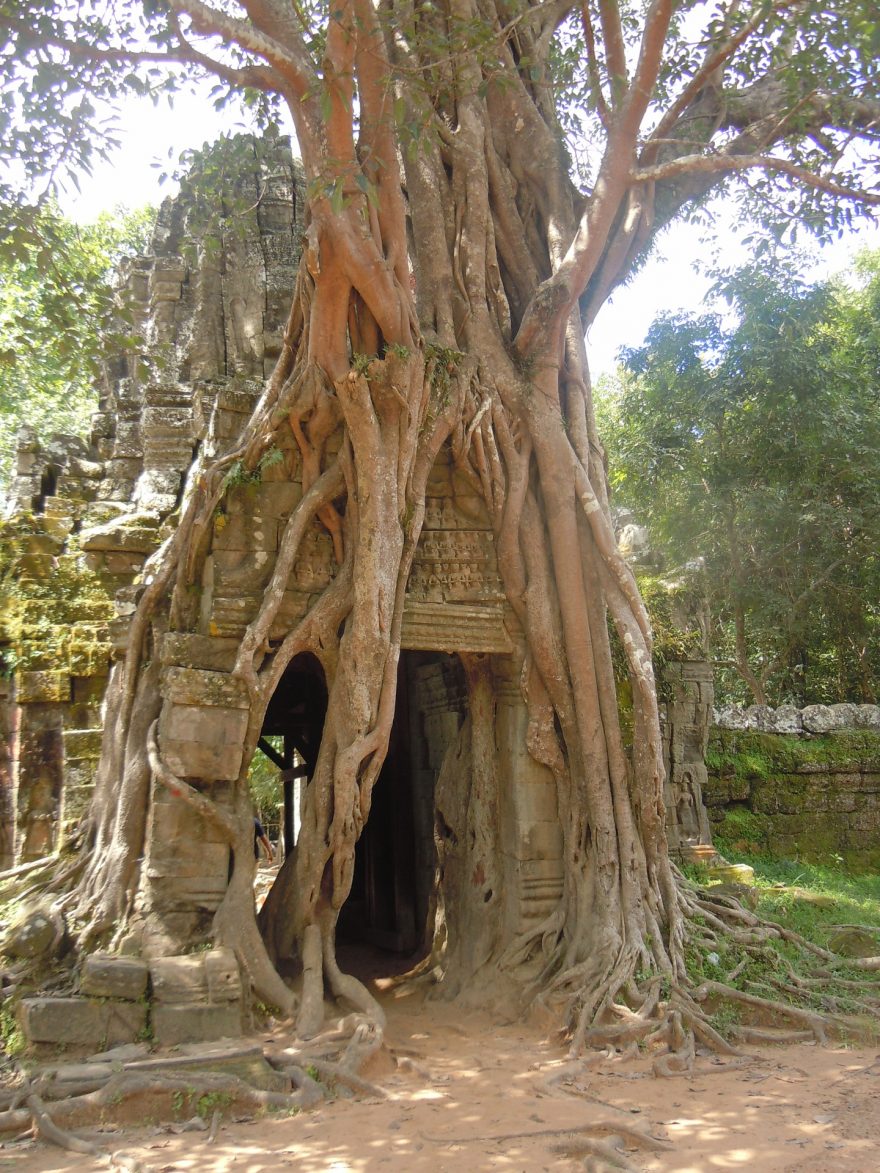 Jihovýchodní Asie je oblíbeným cílem