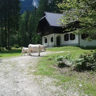 Typický alpský obrázek, Slovinsko