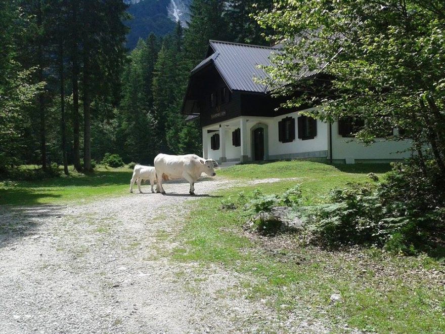 Typický alpský obrázek, Slovinsko