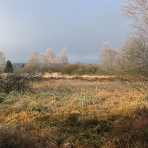 Krajina Hautes Fagnes, Belgie, zdroj: wikimedia Commons