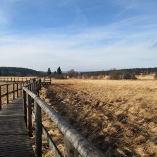 Chodit lze v bažinách díky dřevěným chodníkům, zdroj: Wikimedia Commons, Amaury Duhameau