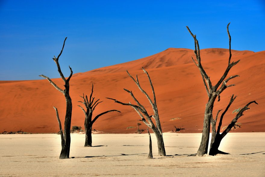Deadvlei, Namibie, Afrika