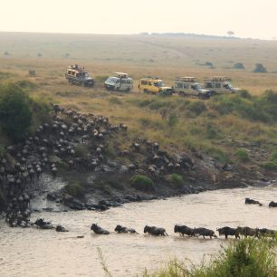 Migrace pakoňů v Keni, Afrika