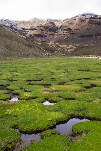Mokřad po vrcholem Paramillo del Quindío, 4750 m.n.n., Kolumbie