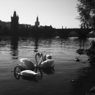 Všude dobře a doma taky