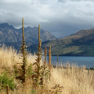 Zéland je také vhodnou destinací pro cestování s dětmi, Nový Zéland