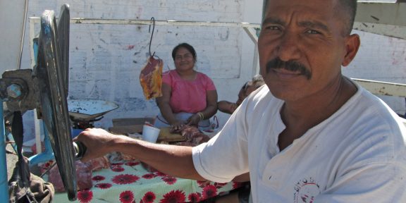 Motýlí kočovníci v Mexiku