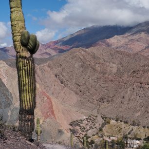Stezku do kopců lemují vysoké kaktusy, Argentina