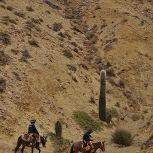 Údolím za vískou Ingeniero Maury se prohánějí indiáni na koních, Argentina