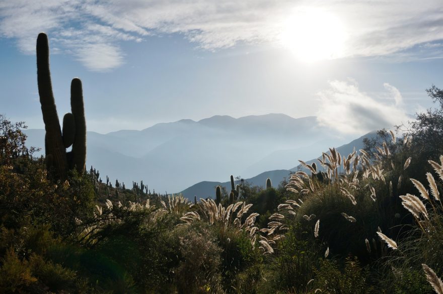 Krásné hory a kaktusy. To je severní Argentina