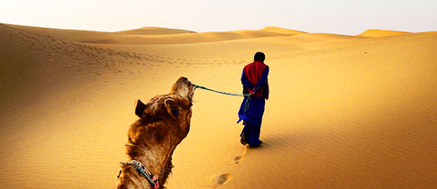 ROZHOVOR: V kapele Wohnout máme všichni tři měsíce v roce vyhrazené na cestování, říká Honza Homola
