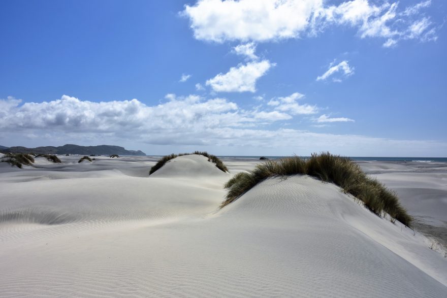 Na písečných dunách můžete vyzkoušet sandboarding. Nový Zéland