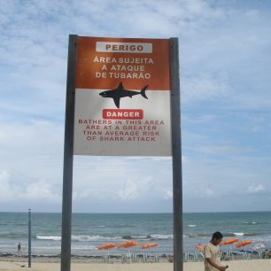 Pozor na žraloky! Recife, Brazílie