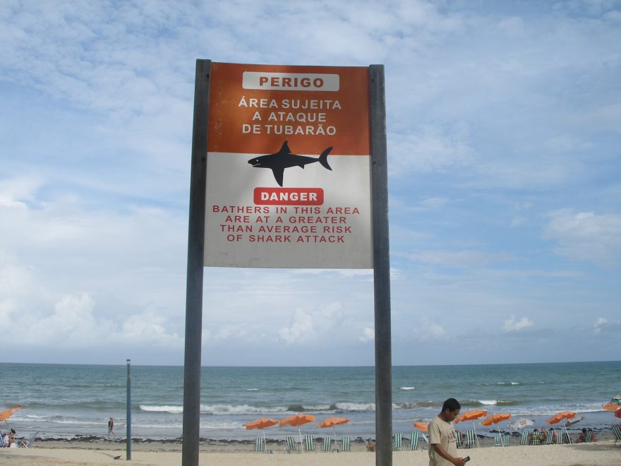 Pozor na žraloky! Recife, Brazílie