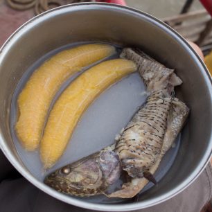 Tahle ryba voní od hlavy. Chutnala o dost líp než vypadala, Río Napo, Peru