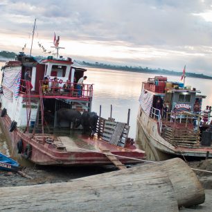 Tito II a jeho menší kolega Centauro během zastávky v Santa Clotilde, Río Napo, Peru