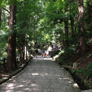 Začátek cesty v Yamadeře. Začínající schody, kterých vás ještě dost bude čekat. Japonsko