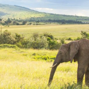 Perly východní Afriky: méně známá a levnější místa