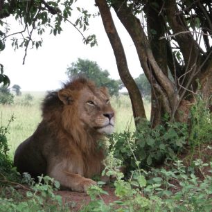 Kidepo Valley, Uganda