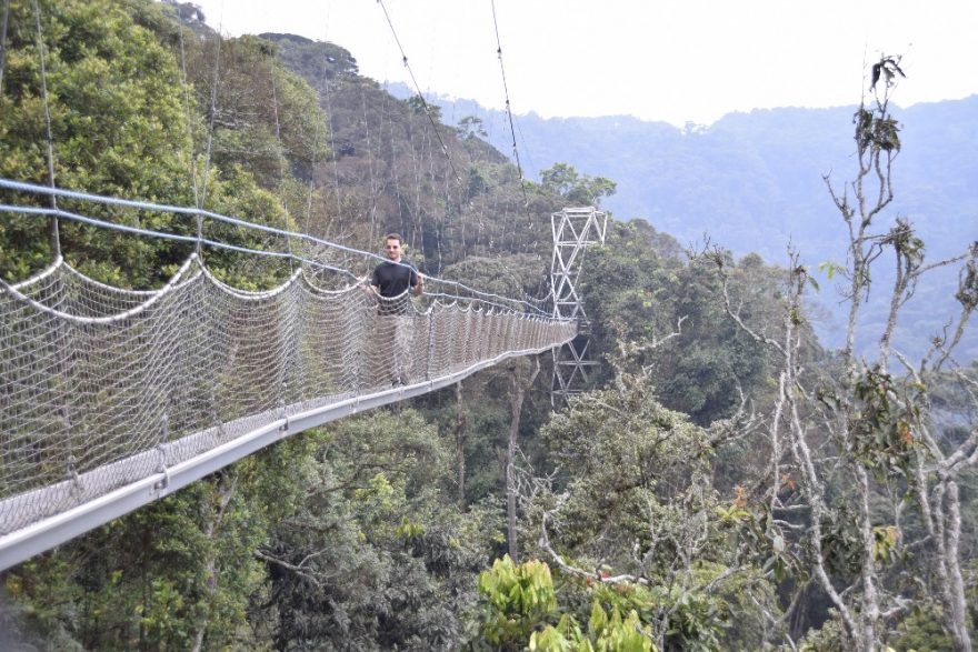 Národní park Nyungwe Forest, Rwanda